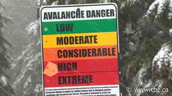 Widespread avalanche warnings in effect for southern B.C. and Alberta