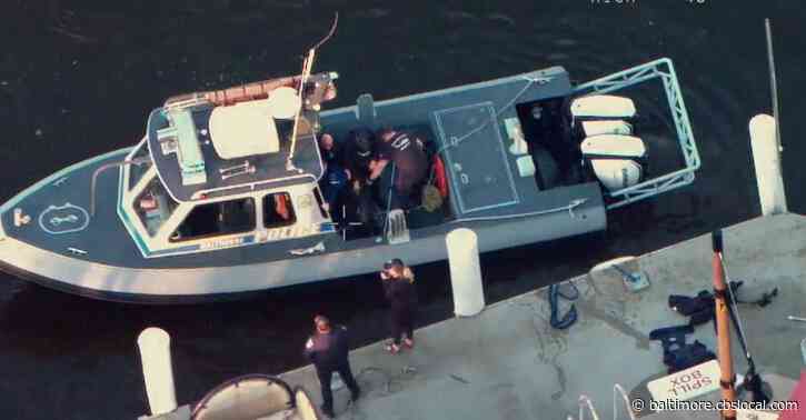 Officers Rescue Dog From Baltimore’s Inner Harbor