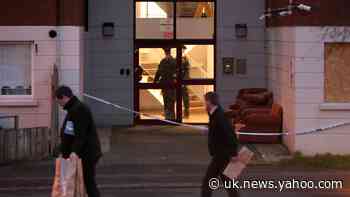 Man held after two people found dead in Belfast flat