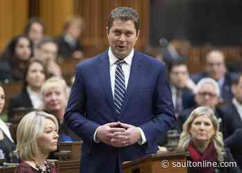 Conservative party’s fundraising boss takes over temporary helm of party