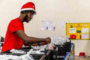 Kerstboodschappen vliegen de deur uit: hoe Picnic de laatste 14.000 kerstbestellingen wegwerkt