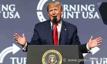 Tirade Trump over windenergie: ‘Wil je een vogelkerkhof zien? Ga onder windmolen staan’