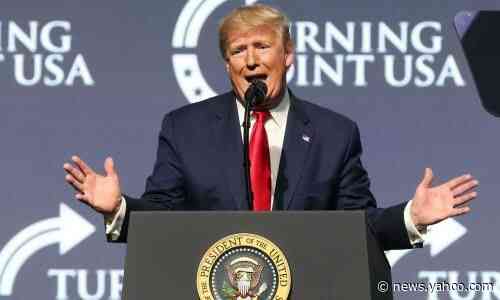 ‘I never understood wind’: Trump goes on bizarre tirade against wind turbines