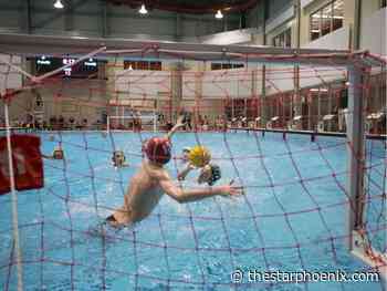 Water polo: Saskatoon's best-kept secret rising to the surface