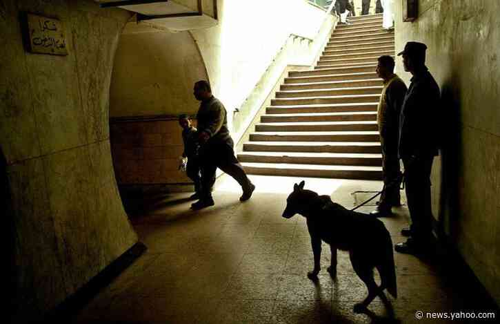 No more US sniffer dogs to Egypt, Jordan after deaths