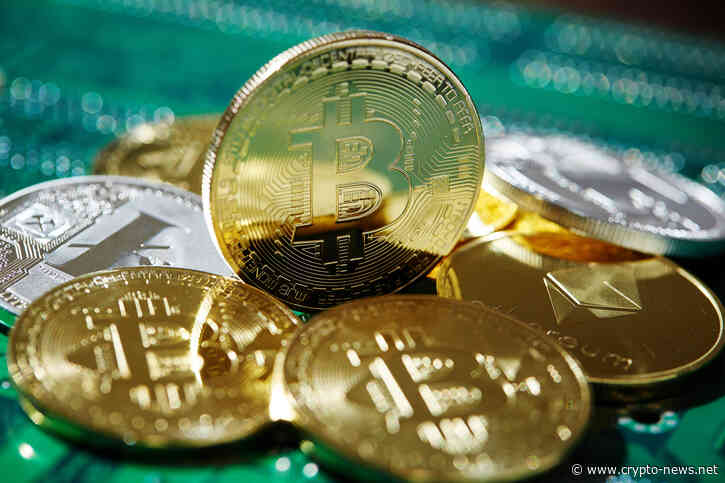 Market Cap Flucutations Reveal Challenges in Evaluating Blockchain Platforms