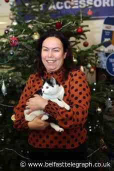"Sanctuaries are best": Meet the people who care for animals at Christmas