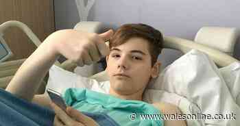 'True Christmas hero' builder converts room for cancer-suffering teen for free