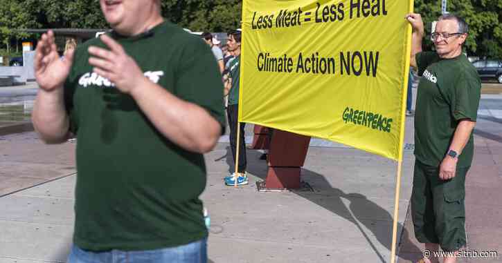 Susan Atkinson: What makes a smart climate change solution?