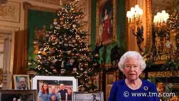 Queen Omits Photos of Princes Harry, Andrew and Meghan Markle During Speech