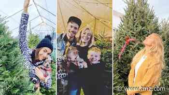 Celebs Huntin' For Christmas Trees -- Fir Sure!