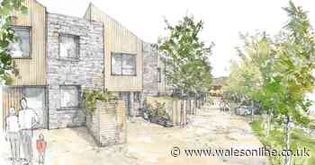 One of the world's first 'true net zero carbon' housing developments will be built in Pontardawe