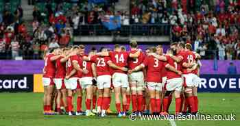 The best Welsh rugby players of 2019 ranked