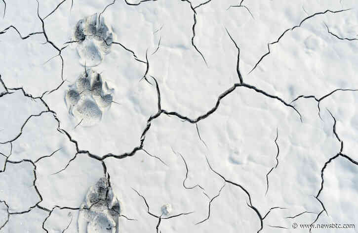 Bitcoin’s Drop Has Put Bulls on the Defensive; Here’s What May Spark a Further Sell Off