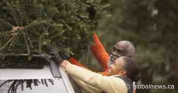 The empty nester’s guide to surviving the holidays