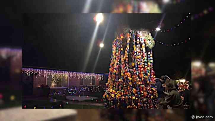 Winterhaven Wishing Tree tradition marks 20 years