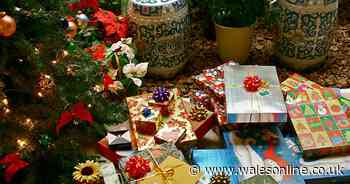 What Christmas Day looks like for average family in UK