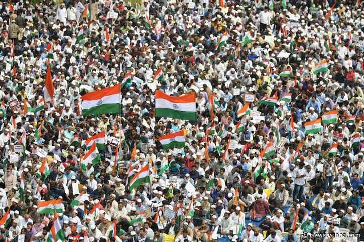 India's protesters: a cross-section of society