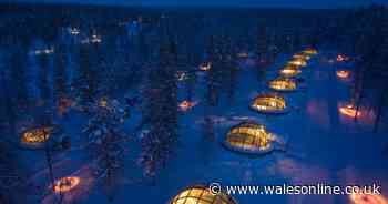 You can see the Northern lights from the comfort of your own cosy igloo