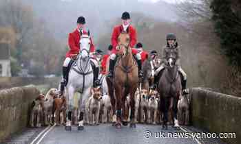 Foxhunting carries on with impunity, says former police chief