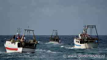 Aantal bootmigranten in Italië gehalveerd