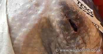 Tesco customers furious as 'rotten Turkey' ruins their Christmas Day