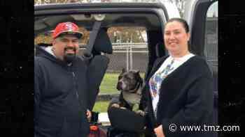 Shelter Dog Gets A Christmas Miracle, Adopted After 5 Years