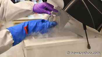 Pentagon warns military: DNA kits pose ‘personal and operational risks’