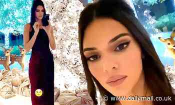 Kendall Jenner dazzles in strapless form-fitting gown with furry accent