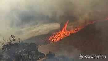 Wildfire-ravaged areas of Australia get holiday relief, but oppressive conditions to return