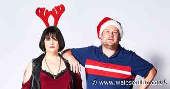 Will there be more episodes of Gavin and Stacey after Christmas special?