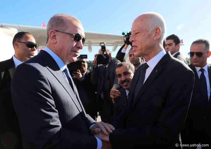 Turkey's Erdogan discusses Libya ceasefire during surprise Tunisia trip
