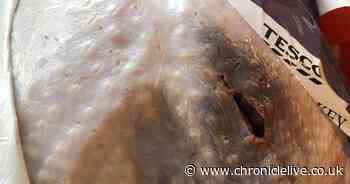 Tesco and Aldi customers furious as 'rotten' turkeys ruin Christmas dinner