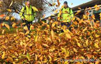 Gerard uit Ede wil einde aan bladblazers op benzine