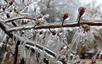Freezing Drizzle Advisory