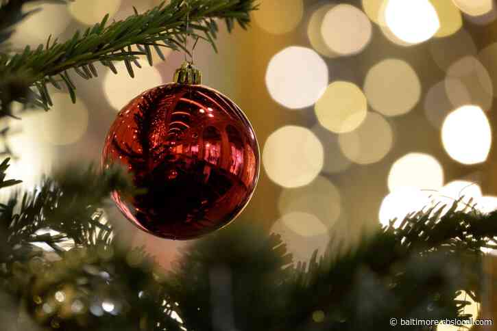 Here’s Where And When You Can Dispose Of Your Christmas Tree Now That The Holiday Is Over