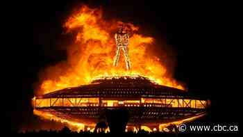 Burning Man organizers sue U.S. government over permit fees