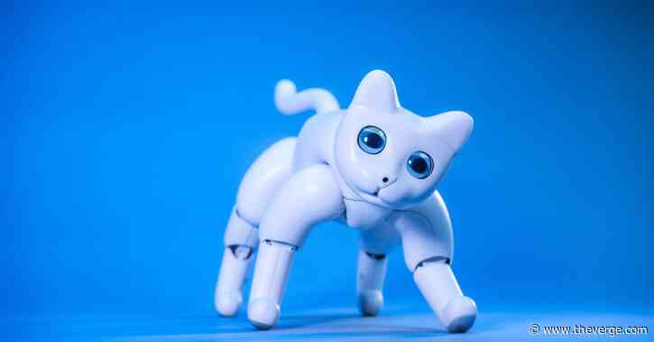 There’s a robot cat you can back on Kickstarter