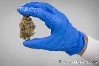 B.C. solicitor general forecasts better year ahead for cannabis products, revenue