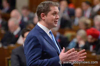 Conservative party’s fundraising boss takes over temporary helm of party