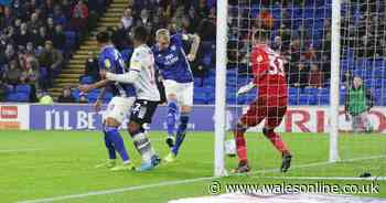 Cardiff City 1-1 Millwall: Aden Flint's strike cancelled out as Bluebirds earn third successive draw
