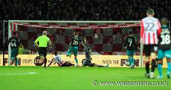 The "non-negotiables" Swansea City didn't do at Brentford as Steve Cooper discusses Mike van der Hoorn injury