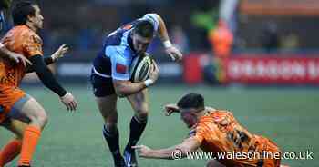 Cardiff Blues 16-12 Dragons match report: Hosts edge out Dean Ryan's side in tense Welsh derby