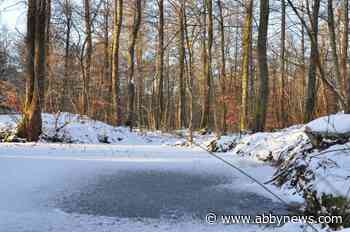 Post-Christmas snow, rain heading for the Lower Mainland