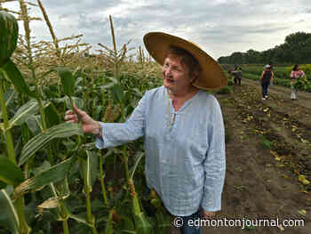 Year in Review: Lisa Johnson stops to remember the smell of the roses