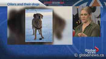 Our City, Our Sports: Oiler dog dads