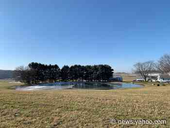 4-year-old boy dies after falling through icy pond while playing with brother