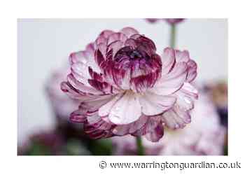 Nature photo contest launches at Bents