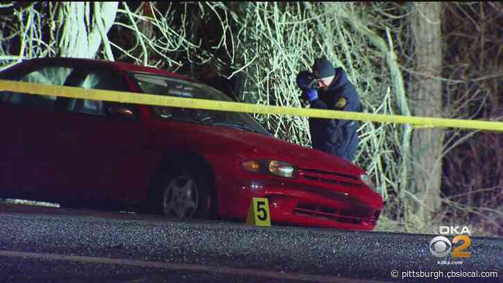 Woman Killed After Fight Outside Bar In Penn Hills Now Identified