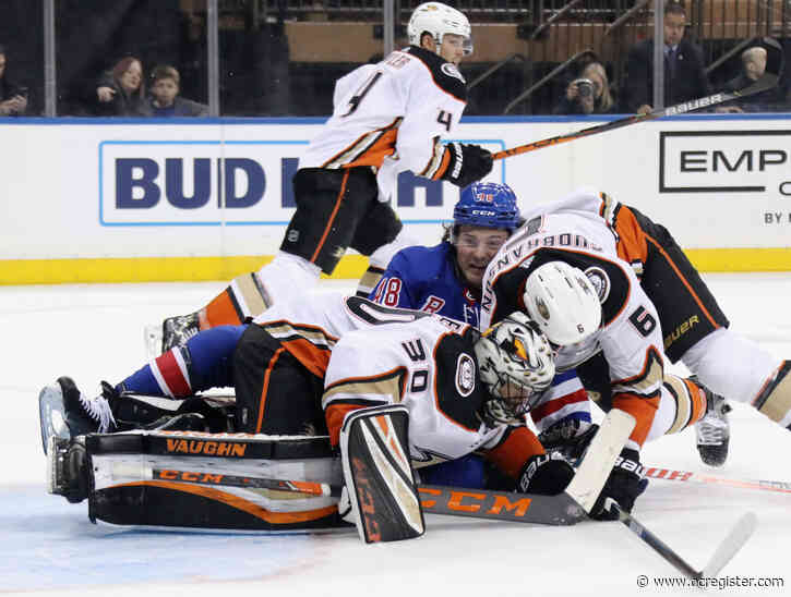 Ducks, ill and injured, back at work after 4-day break